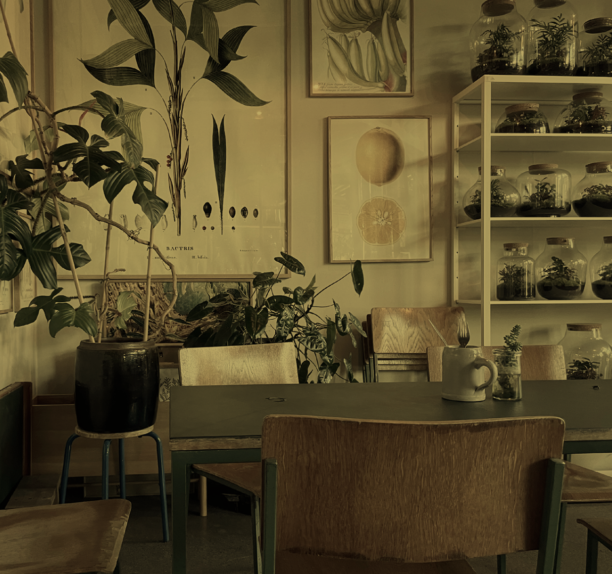 Billede fra plantecafé Plukk